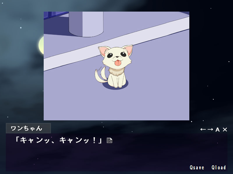 아이돌 유키호의 갓 원짱 패닉!