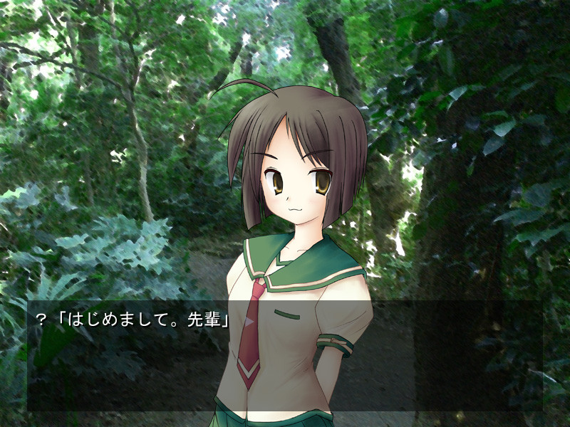 여름에 피는 환상