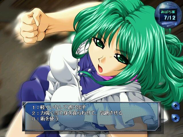 괴도 Z～당신의 하트를 훔치겠습니다～