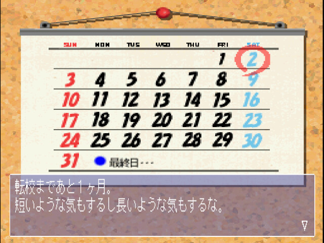 트루 러브 스토리