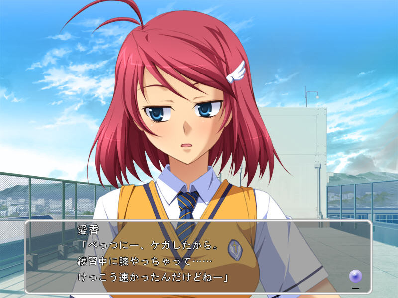 오시카케☆패닉