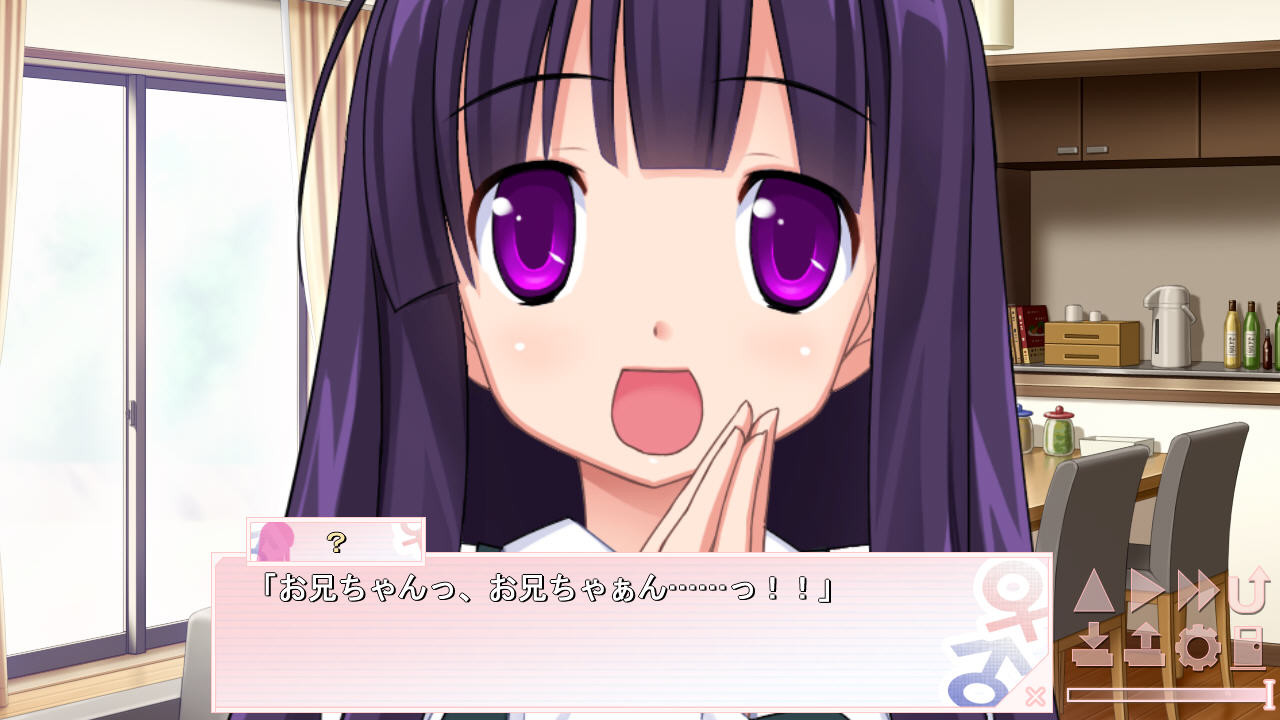 헨타이 이니시아치브 ～여동생과 사촌에게 붙잡힌 성활～