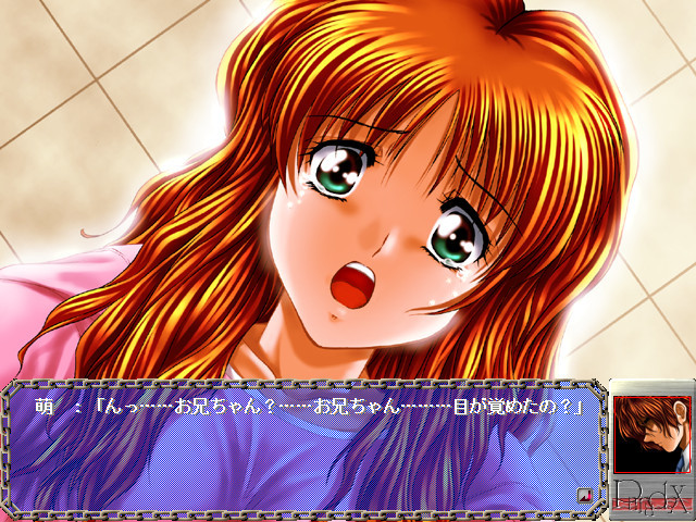 Ｐａｒａｄｏｘ ～파괴의 나선～