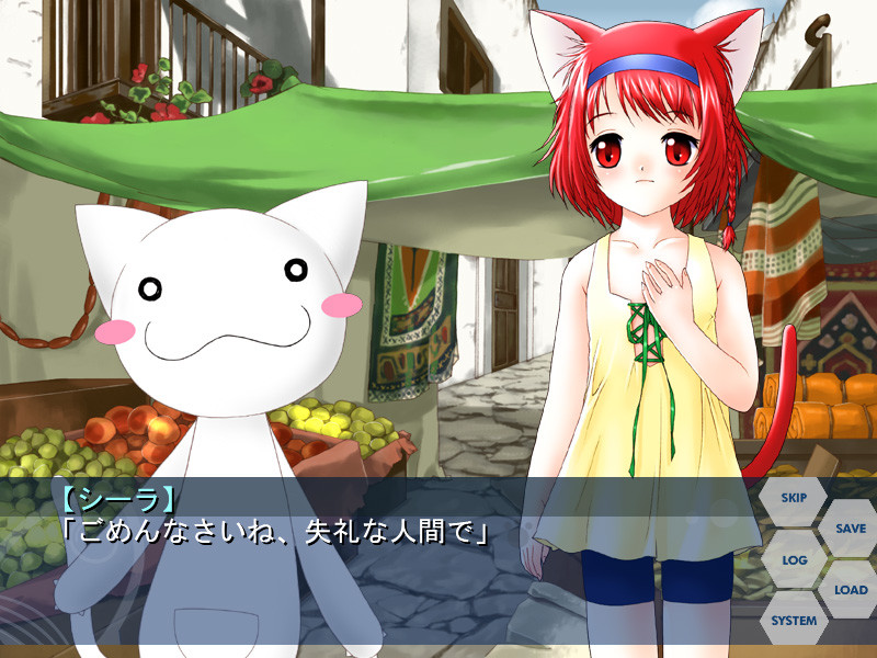 프라네코 PLANET OF THE CATS