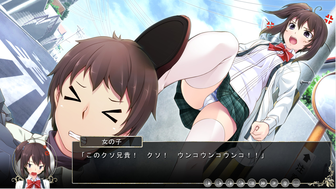 추주의 오그먼트