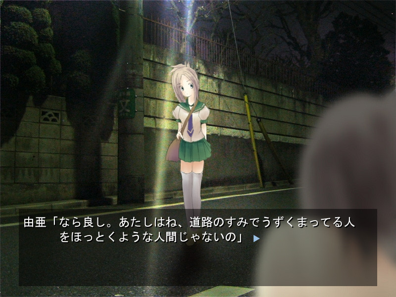 여름에 피는 환상