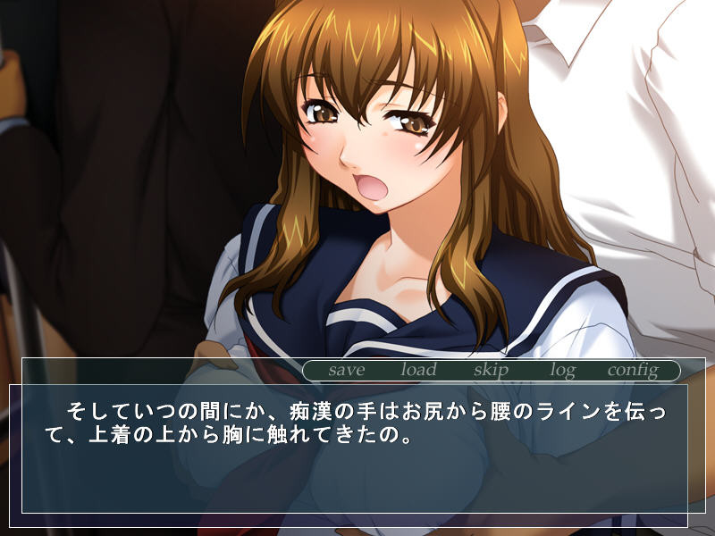 질내 사정 치한 열차~여고생 치한 백서~