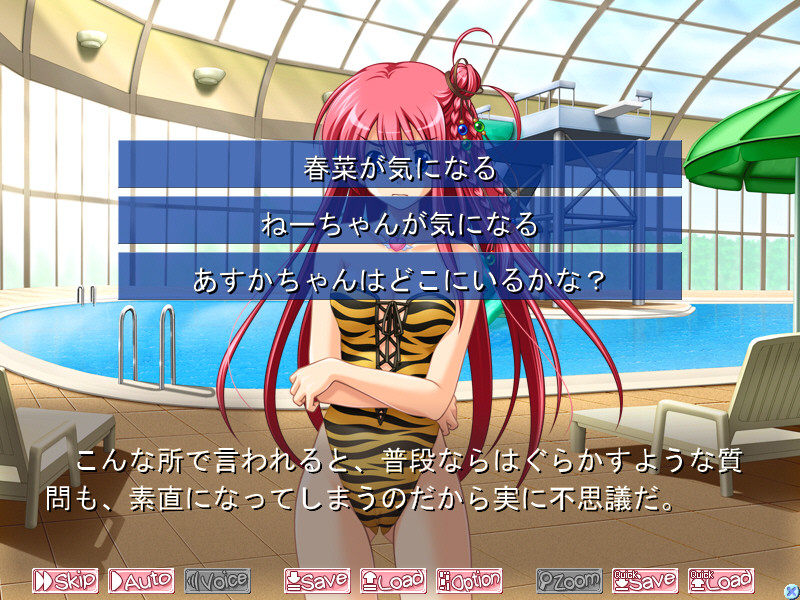 코이Q! ～사랑과 H의 난사～