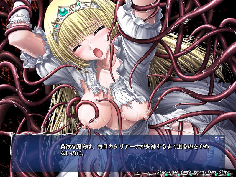 정령기사 아쿠에알 굴종의 신부