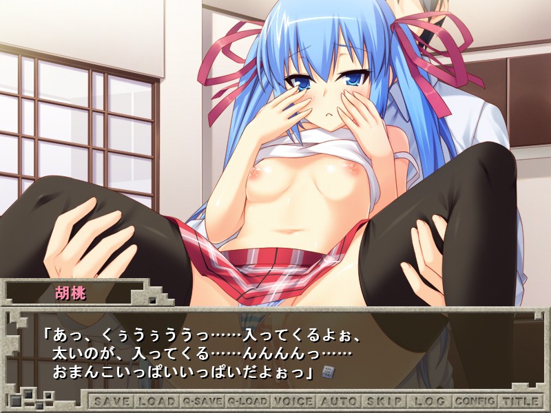 언니와 여동생을 마음대로 하는 10가지 계율～법도 자매도 전부 범해버려!～