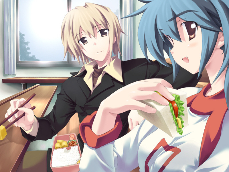 히나타루토～히나타봇코 팬 디스크～