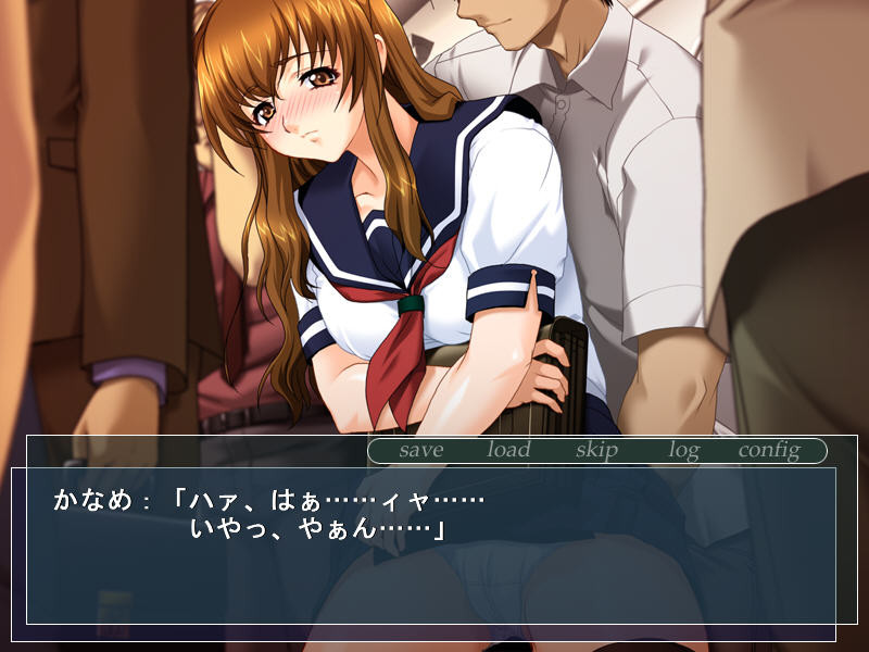 질내 사정 치한 열차~여고생 치한 백서~