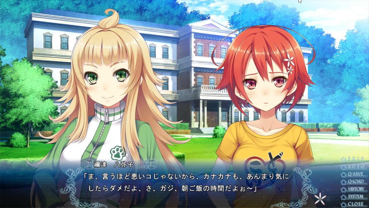 세이사이의 레조넌스