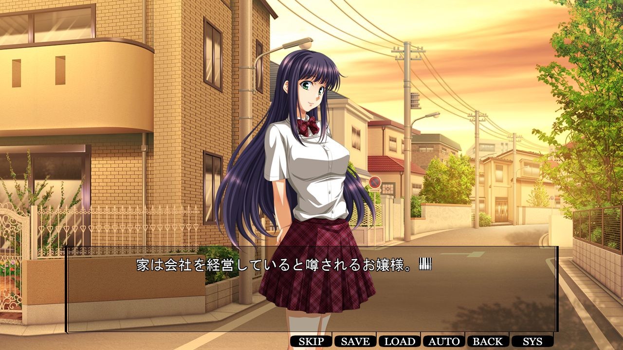 카노조의 어머니는 좋아하시나요? ～쿨한 유부녀 사장을 농락하라!～