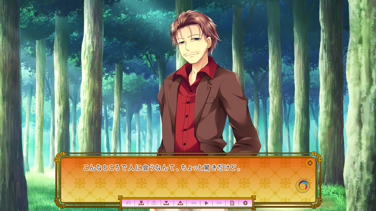 Golden Marriage -Jewel Days-