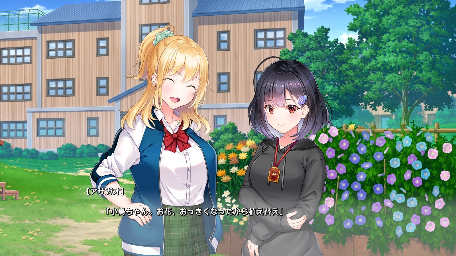 아사가오는 밤을 알지 못한다.