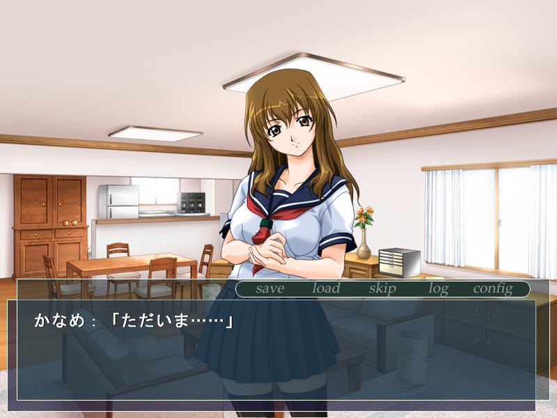 질내 사정 치한 열차~여고생 치한 백서~