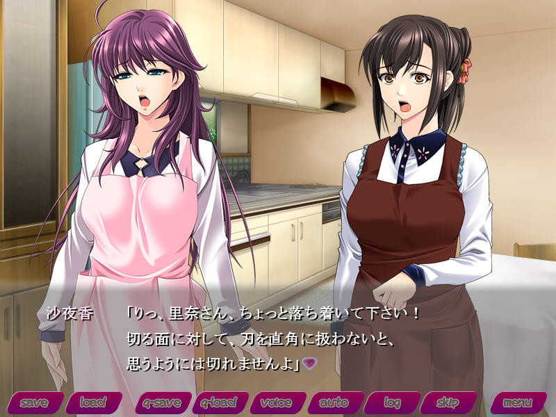 다츠치 인처 ～너의 아내는 나의 육체 인형～