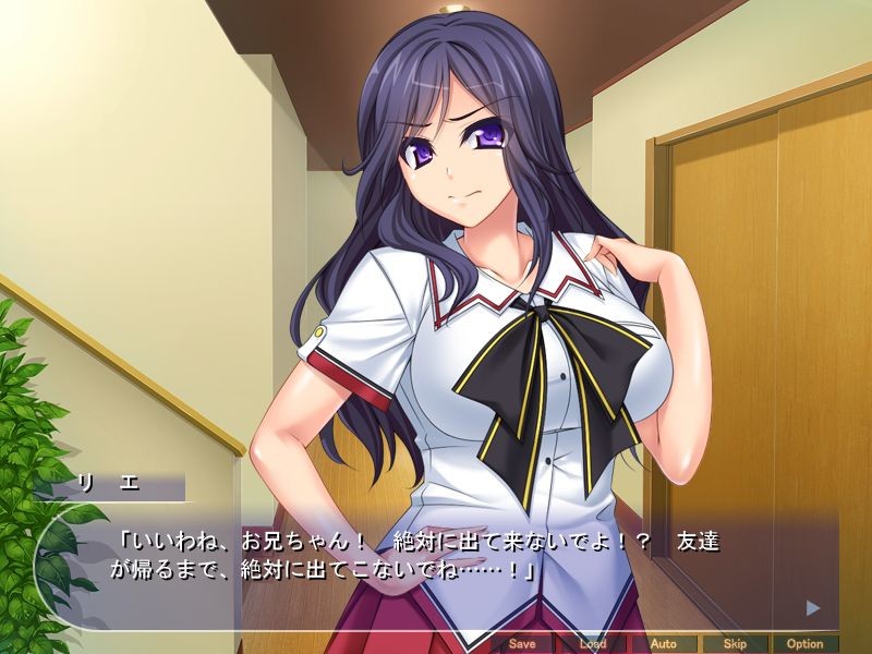 에로카와 비치 시스터즈 ～연하 구멍에 말라죽을 정도로 듬뿍듬뿍 빼내어지는 생생한 임신 생활～