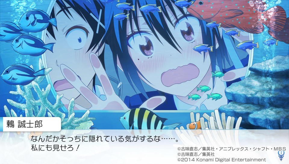 니세코이 요메이리!?