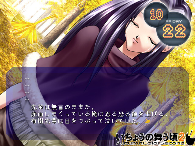 은행나무 흩날릴 무렵 2