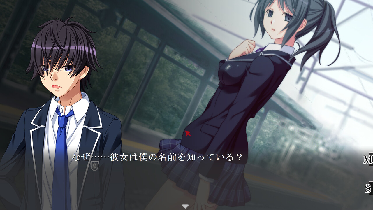 도마뱀의 꼬리 자르기 ～끊어지지 않는 꼬리～