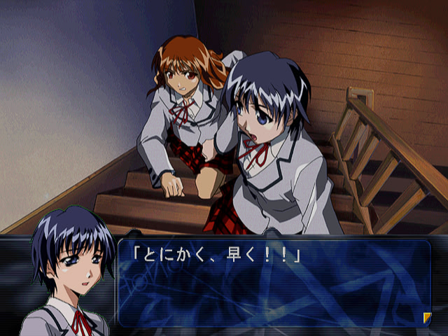 코노하나 True Report