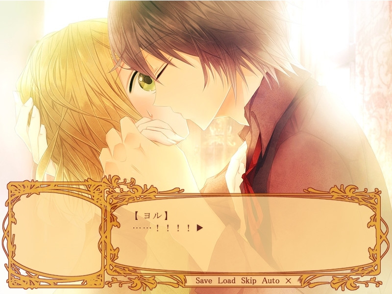 연정 과다의 유포리아