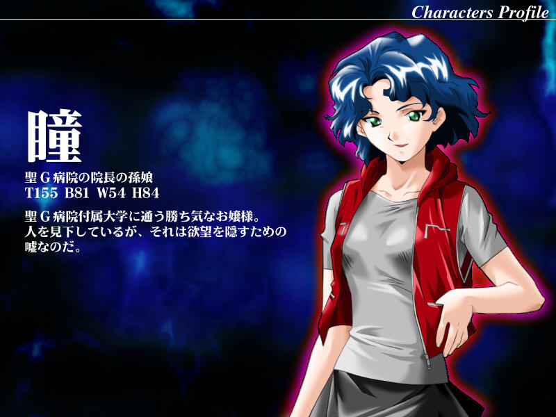 P.S.3 ～하렘 나이트～