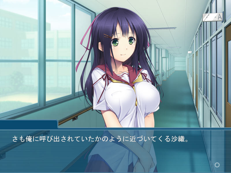 세메라레 ～여동생으로 느끼다니, 오빠는 변태네～