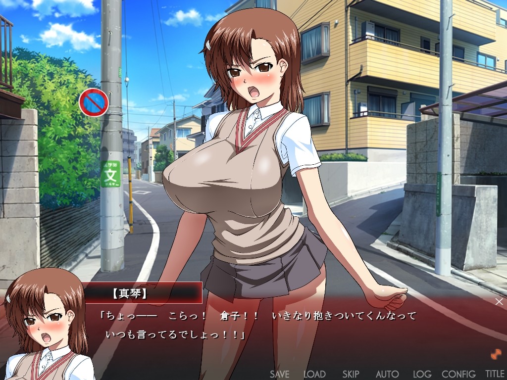 어떤 격투 소녀의 4년에 걸친 절정 조교