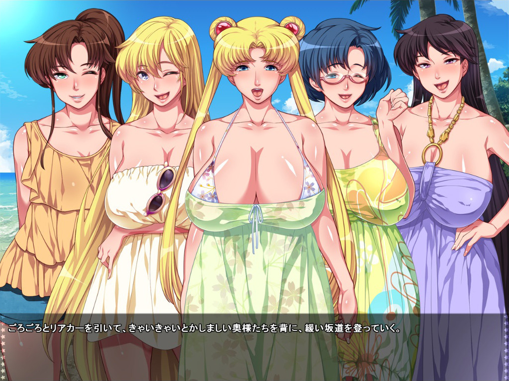 세일러복 미인 아내 전사 아헤아헤문