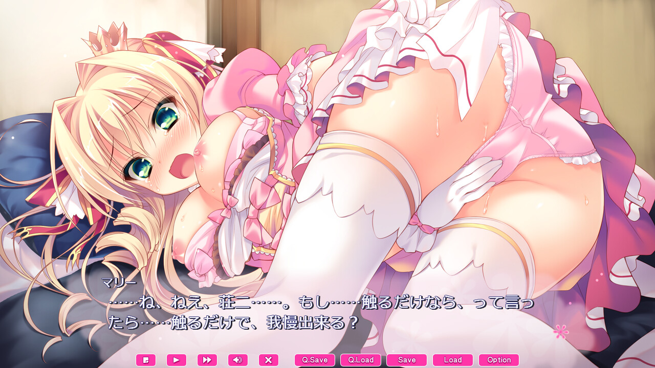 러브러브♥프린세스 ～공주님이 가득! 더욱 야한 하렘 생활!!～