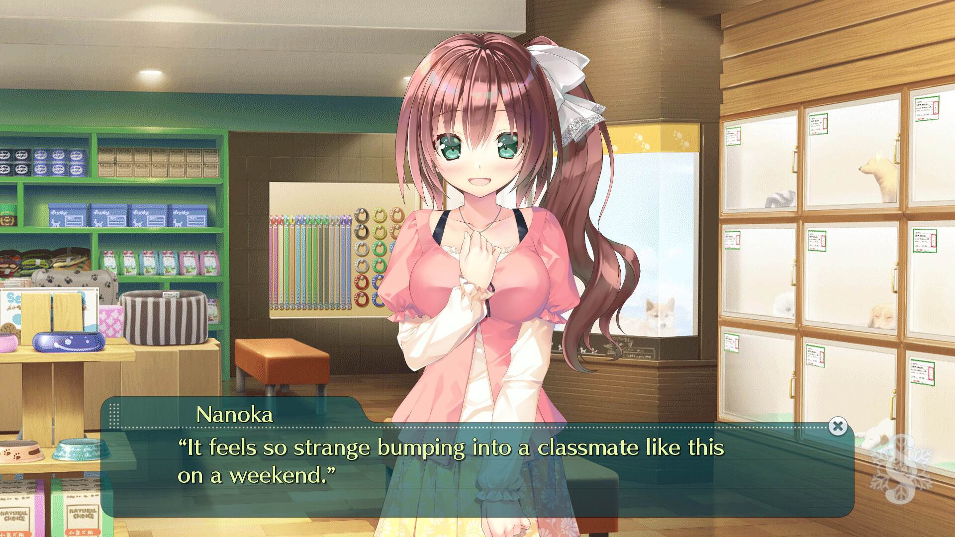 스터디§스테디