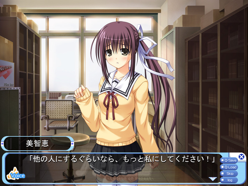 Mr.Invisible -Legend of Rapest-