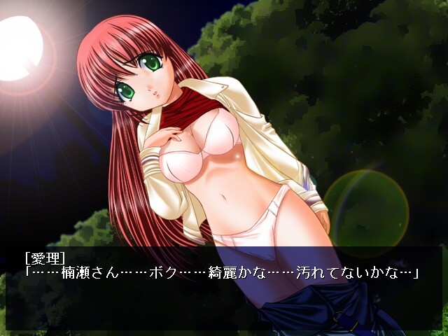 Web 속의 그녀 ～패스워드에 숨겨진 수수께끼～