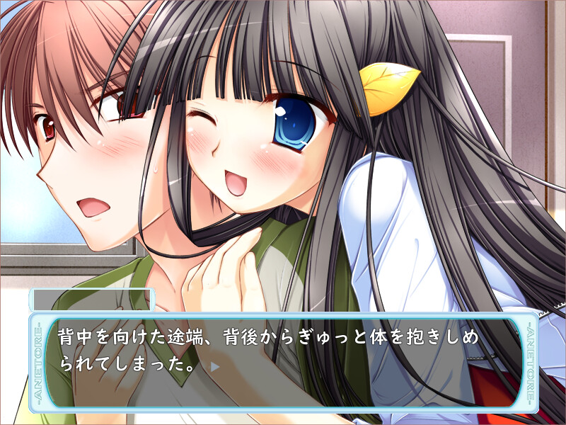 아네토레! ～누나와 H한 트레이닝～