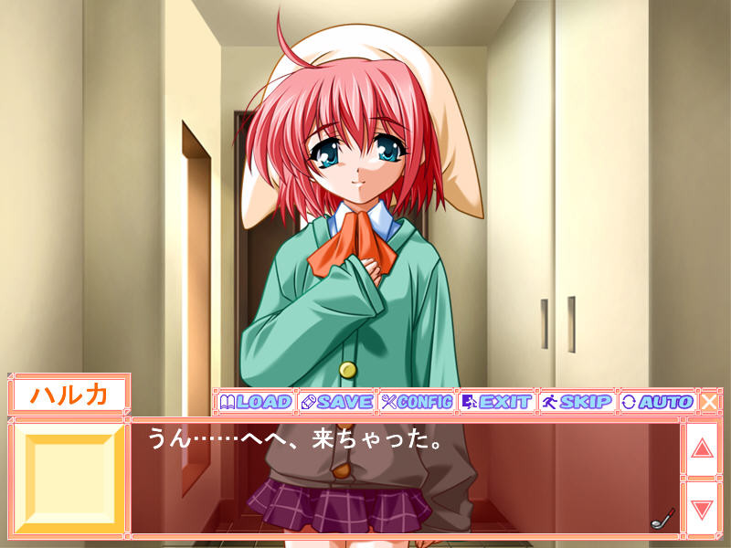 하지요메 어린 아내 응징 어드벤처