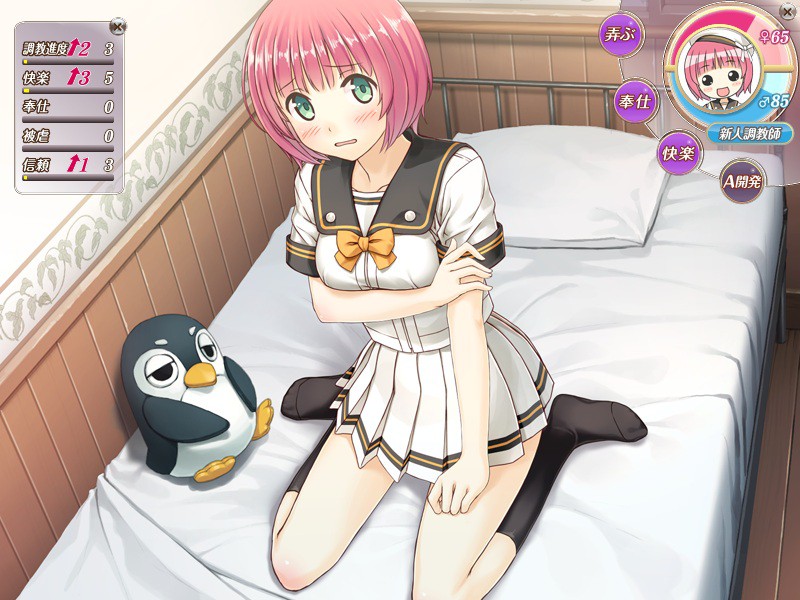 러브 라보～조교 따위 흥미 없었던 나와 그녀의 방과 후 SM 라보라토리～