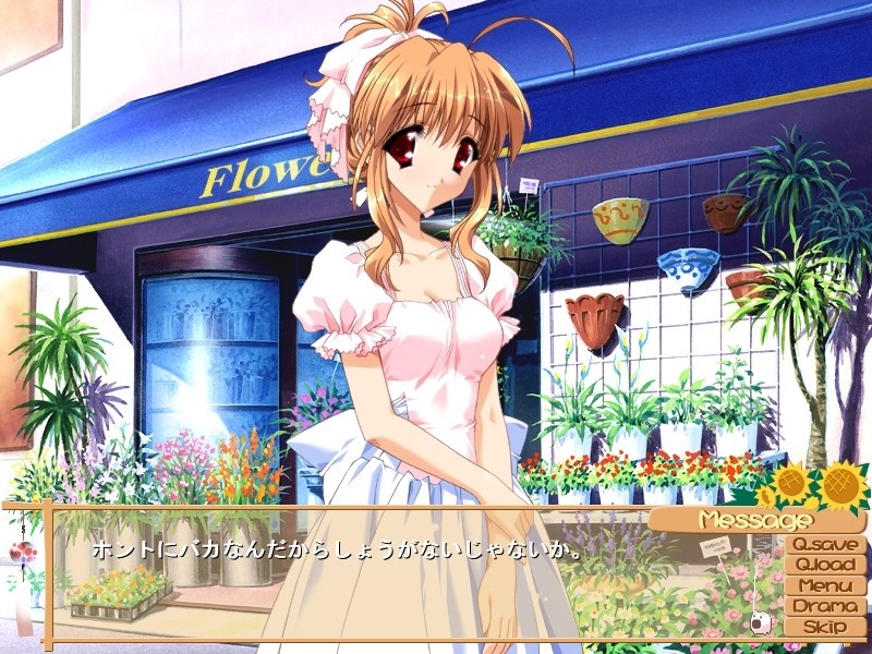 해바라기가 피는 마을