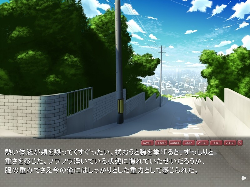 악령!! ~신출귀몰의 강간마~