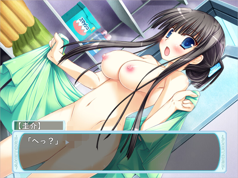 아네토레! ～누나와 H한 트레이닝～