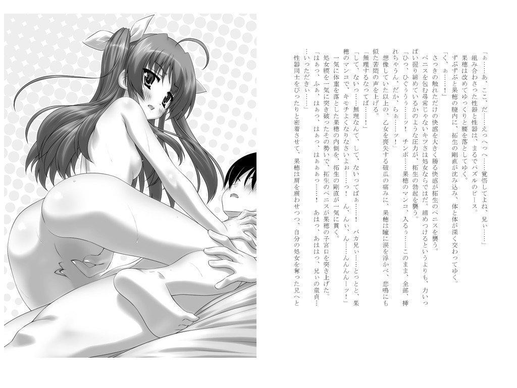 해피 하렘 스크립트 ~이렇게 H한 여자아이가 실존할 리가 없잖아!~