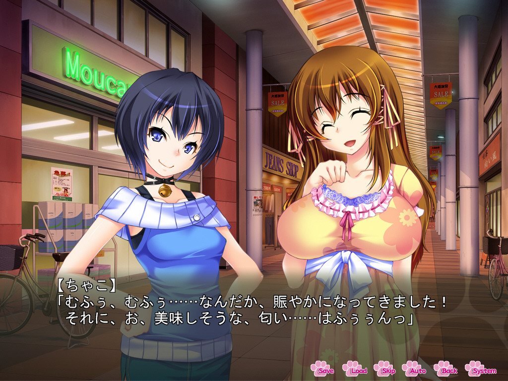 니쿠큔 온가에시 ～구해준 두 마리가 여자아이가 되어 찾아왔다～