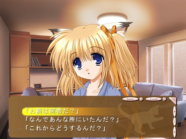 금요일의 코네코