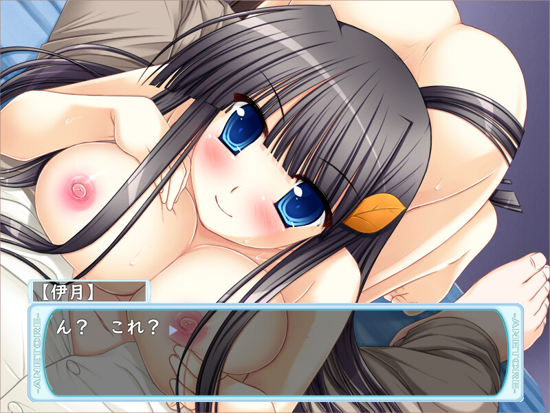 아네토레! ～누나와 H한 트레이닝～