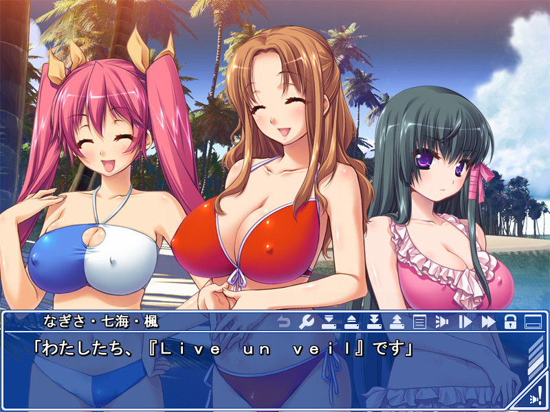 비치쿠비치 ~남국유욕촬영회~