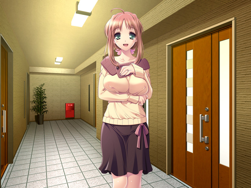 야리스기! 히토즈마 파라다이스