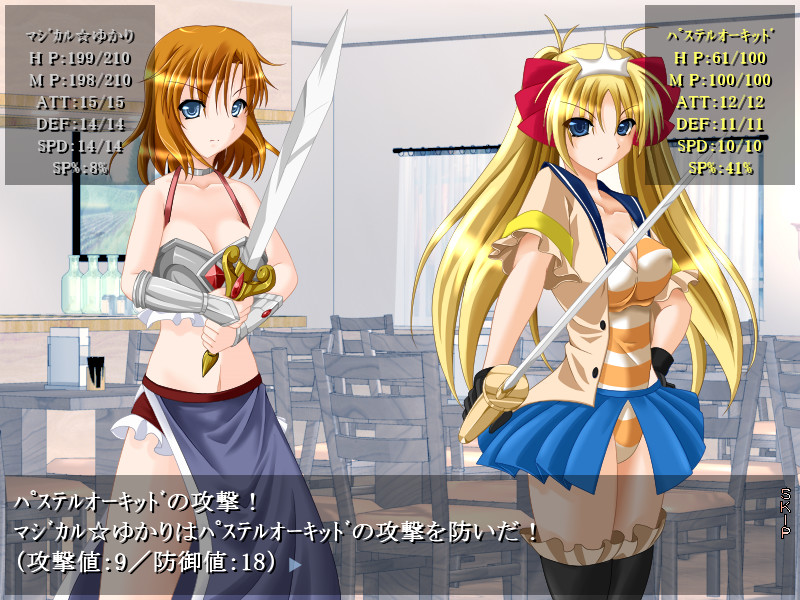 아쿠히로 대 세이히로