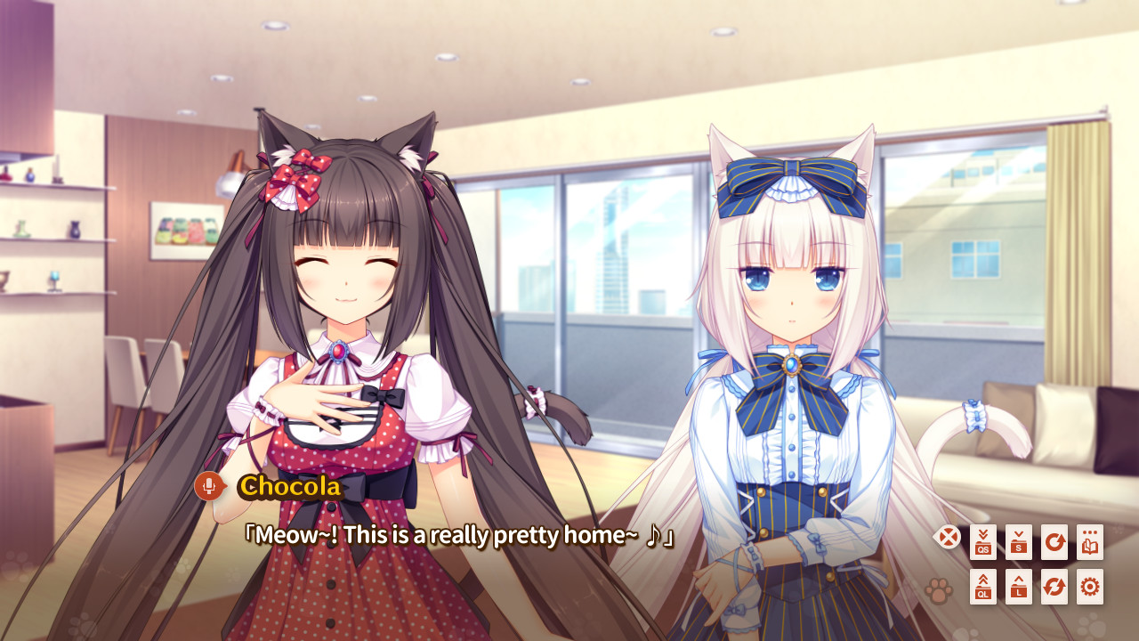 네코파라 Vol.1 솔레이유 개점했습니다!